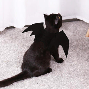 Costume Halloween Adorable | BatCat™