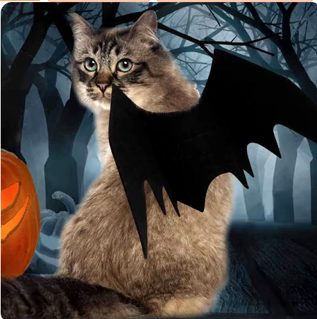 Costume Halloween Adorable | BatCat™