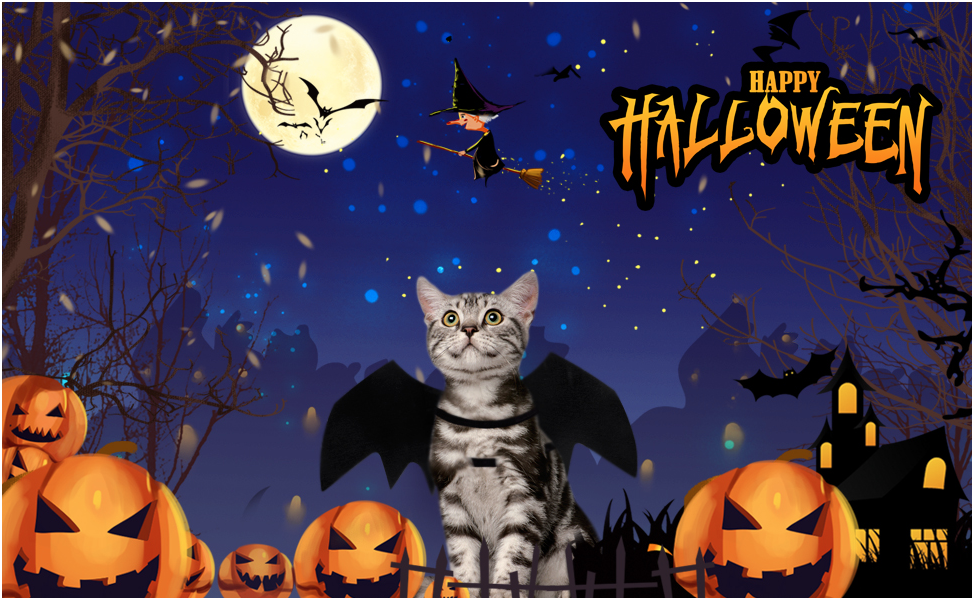 Costume Halloween Adorable | BatCat™