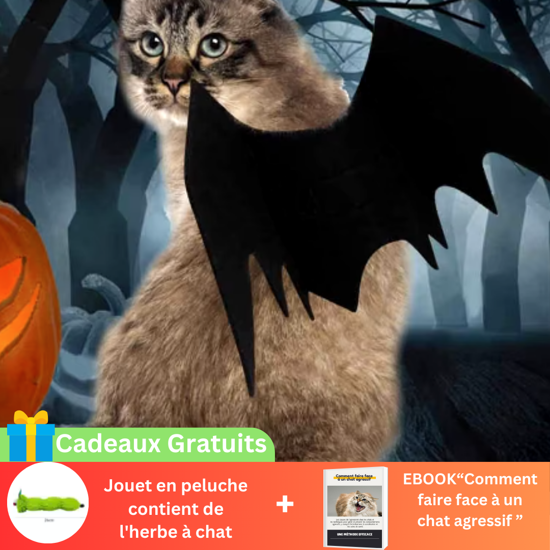 Costume Halloween Adorable | BatCat™