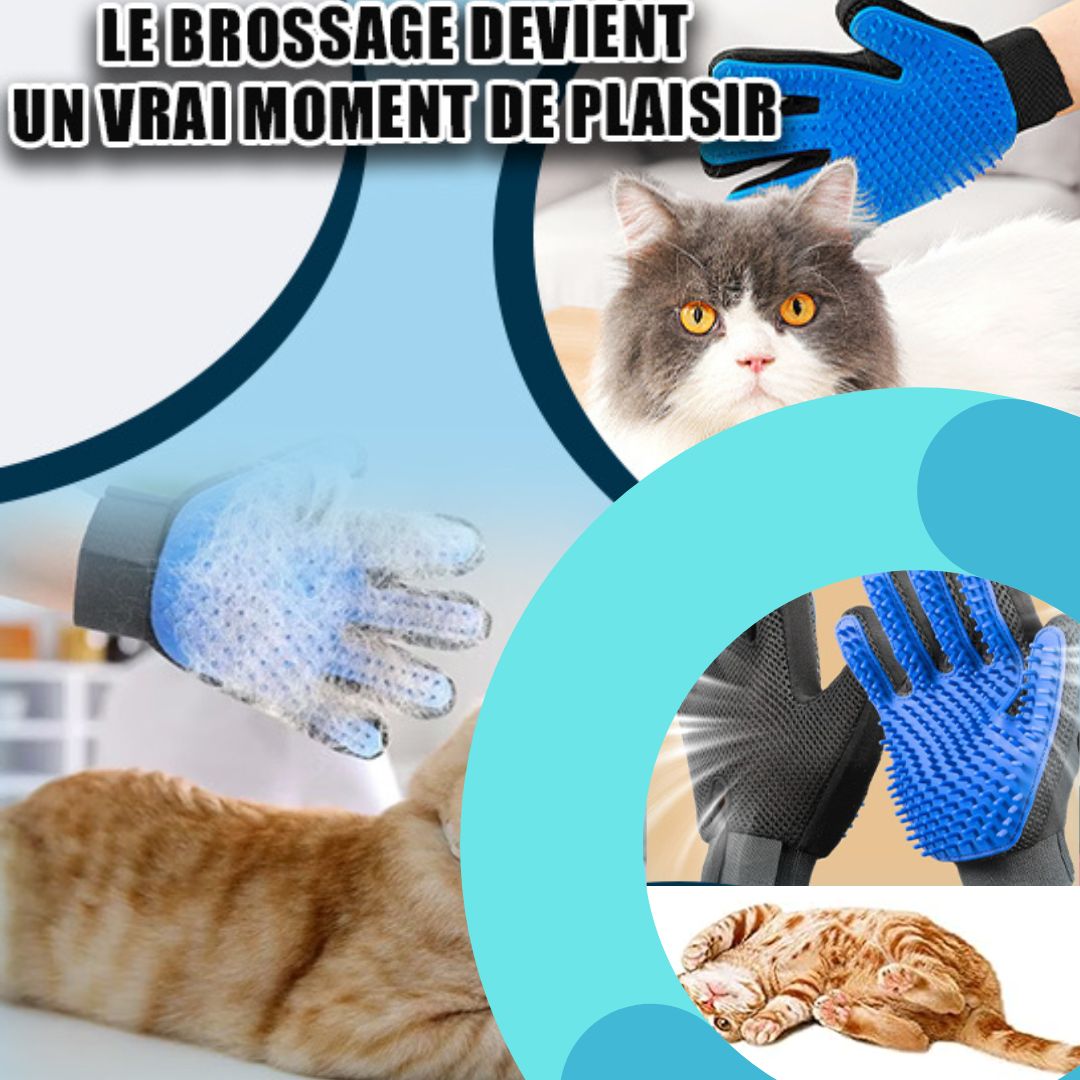 Gantdouceur™ - Toilettage Efficace - Catouchat Shop