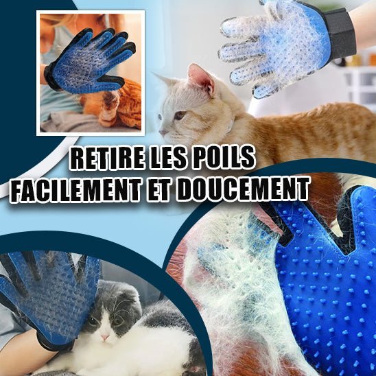 Gantdouceur™ - Toilettage Efficace Avec 3 Cadeaux - Catouchat Shop