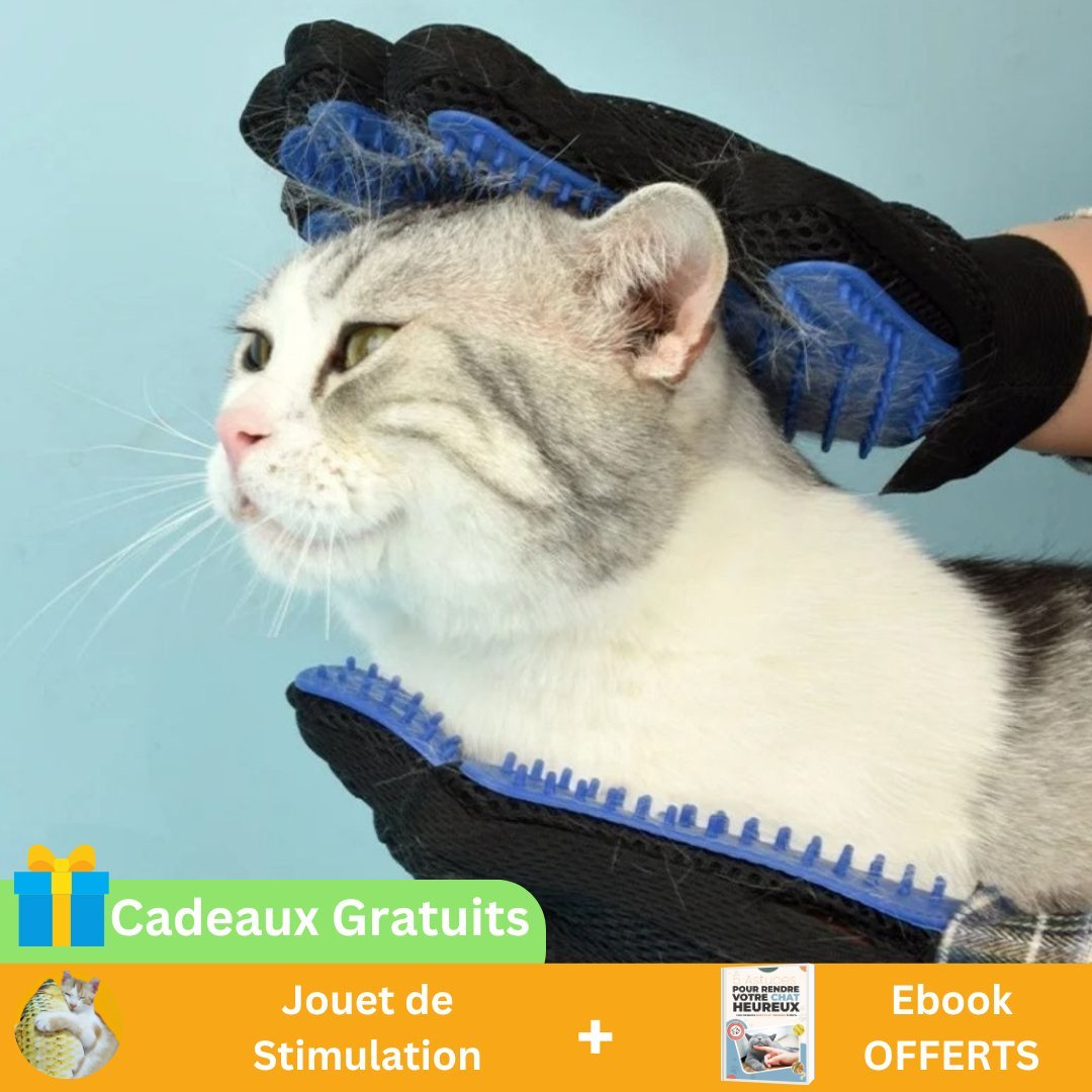 Gantdouceur™ - Toilettage Efficace Avec 3 Cadeaux - Catouchat Shop