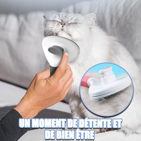 MagiqBrosse™ - Brosse de toilettage - Catouchat Shop