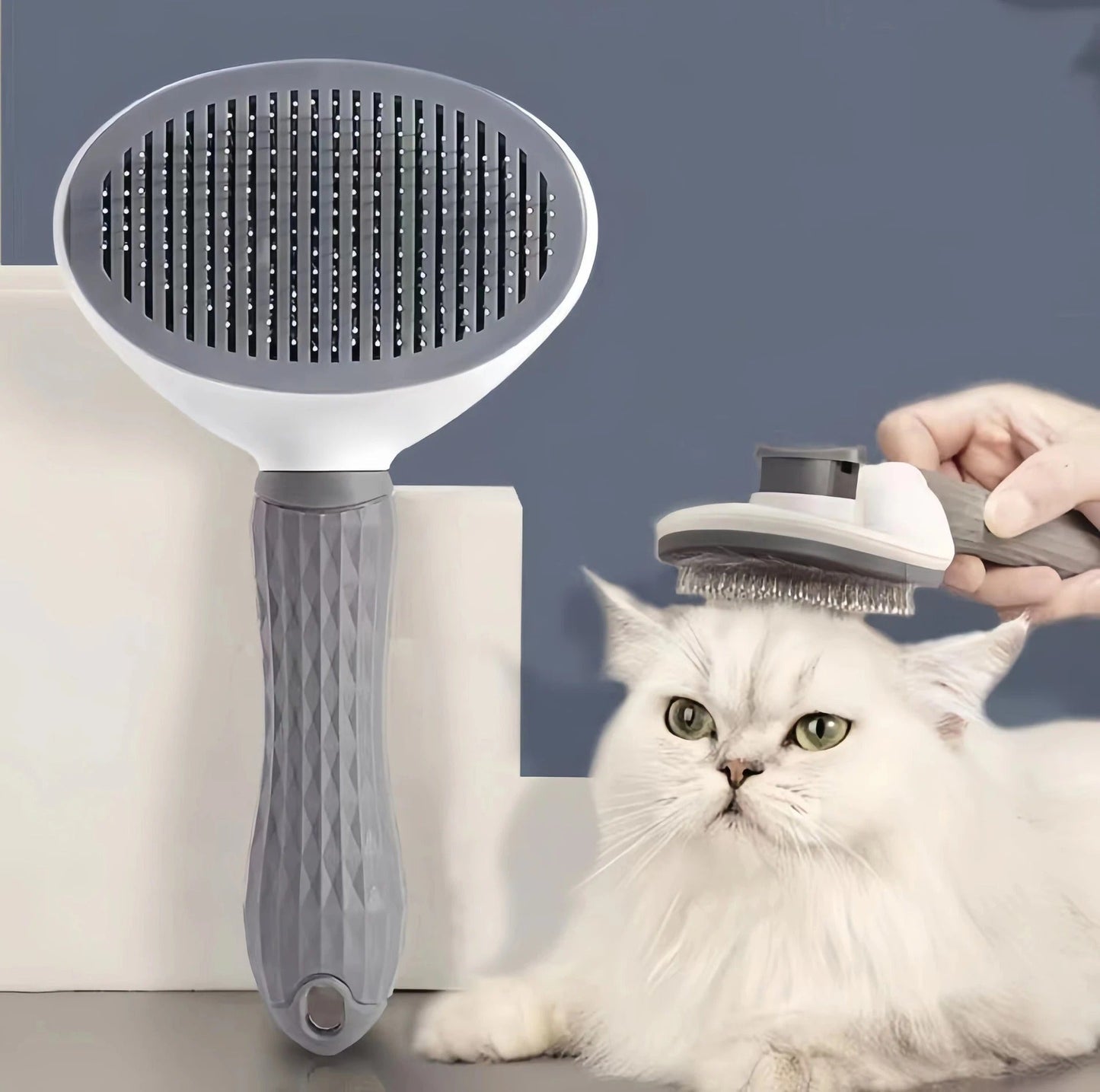 MagiqBrosse™ - Brosse de toilettage pour Chats et Chiens - Catouchat Shop