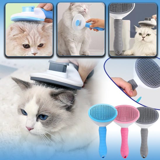 MagiqBrosse™ - La Magie du toilettage | Brosse Interactive Chats & Chiens - Catouchat Shop