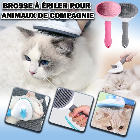 MagiqBrosse™ - La Magie du toilettage | Brosse Interactive Chats & Chiens - Catouchat Shop