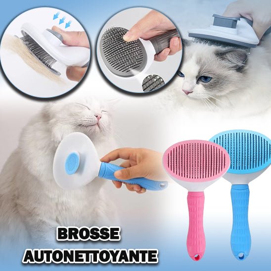 MagiqBrosse™ - La Magie du toilettage | Brosse Interactive Chats & Chiens - Catouchat Shop